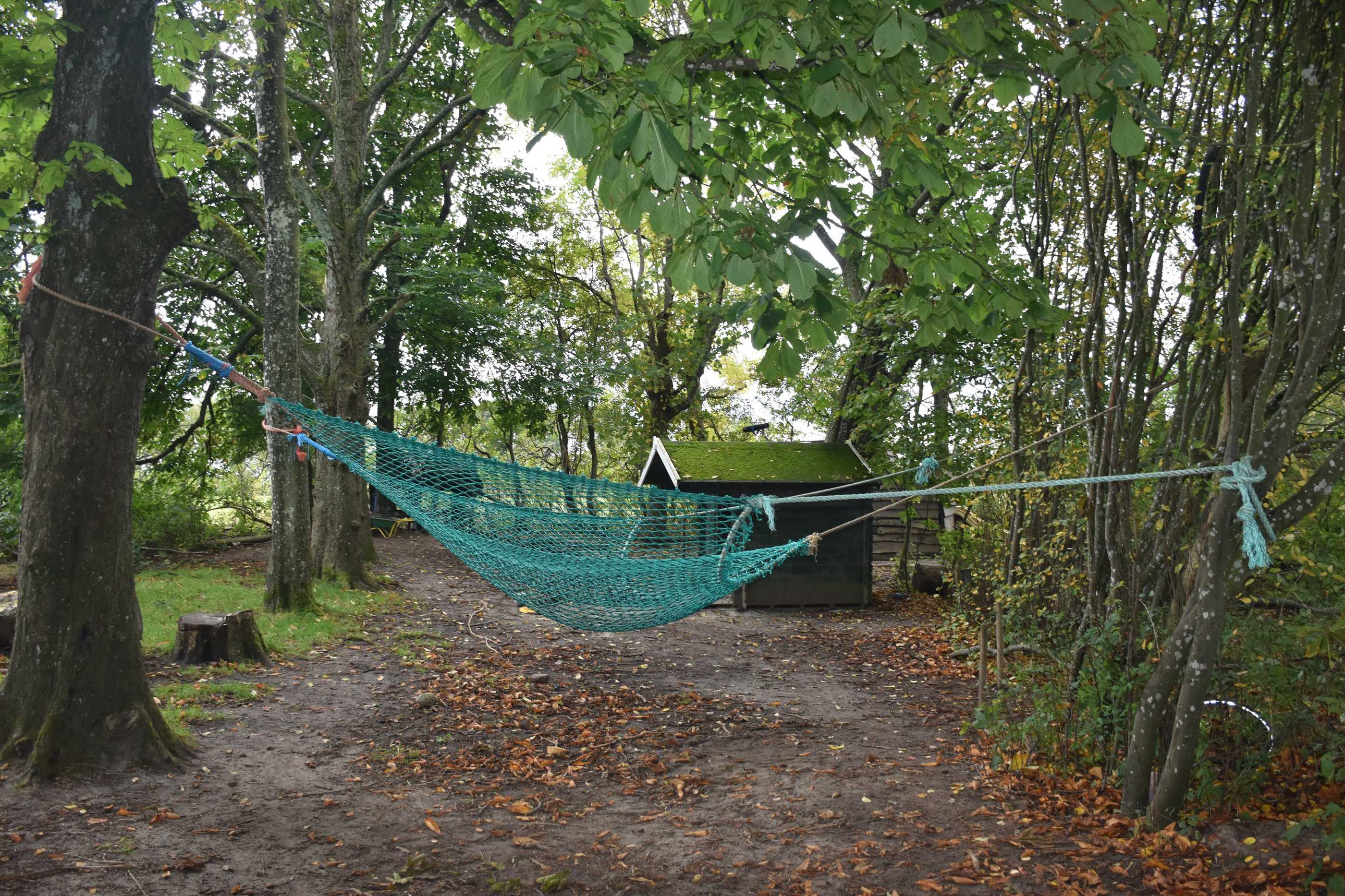 Hængekøjer i en skov