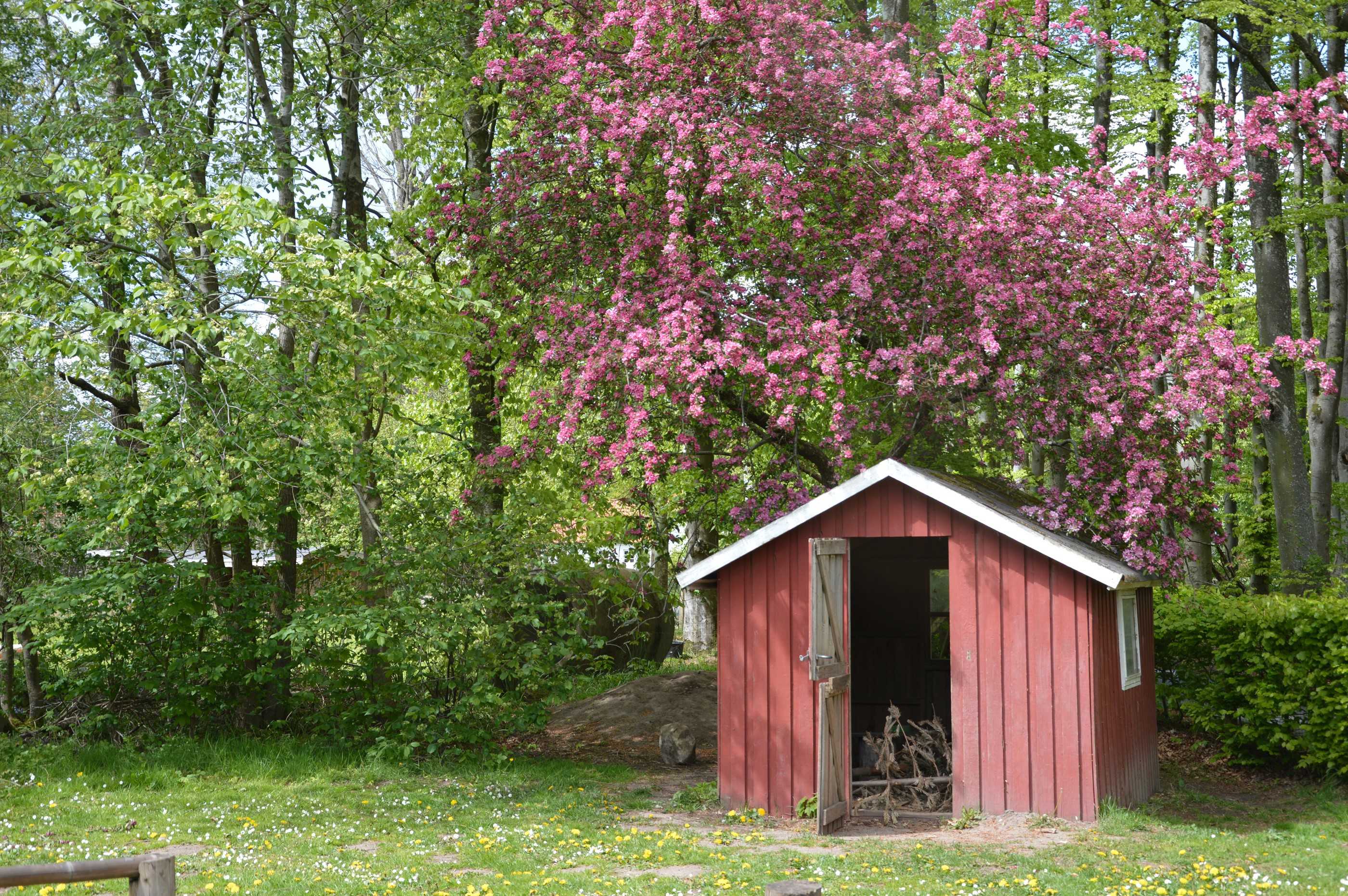 Et lille udendørs skur