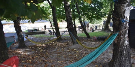 Hængekøjer i lysning i en skov